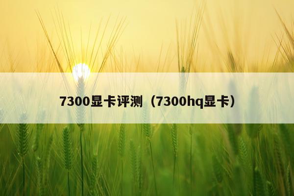 7300显卡评测（7300hq显卡）