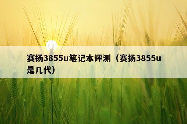 赛扬3855u笔记本评测（赛扬3855u是几代）