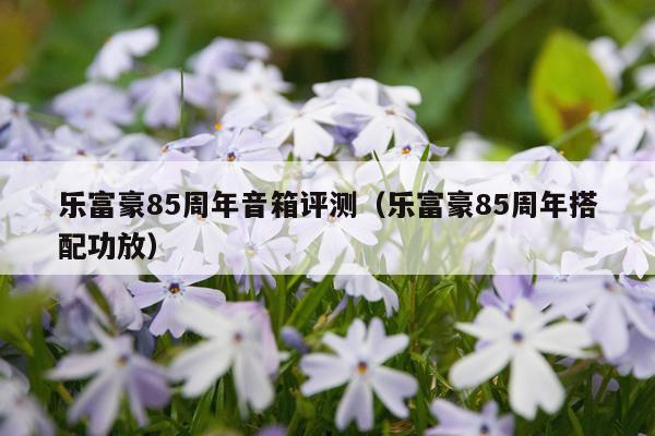 乐富豪85周年音箱评测（乐富豪85周年搭配功放）
