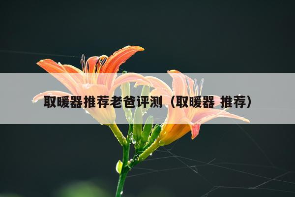 取暖器推荐老爸评测（取暖器 推荐）