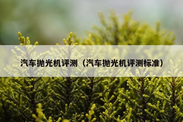 汽车抛光机评测（汽车抛光机评测标准）