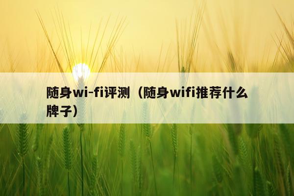 随身wi-fi评测（随身wifi推荐什么牌子）