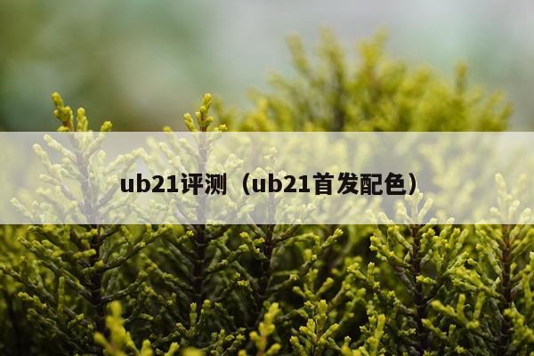 ub21评测（ub21首发配色）