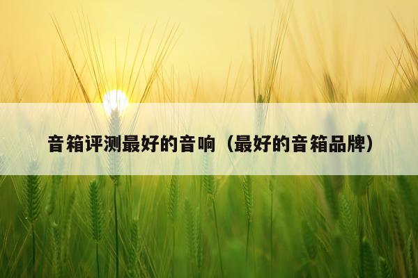 音箱评测最好的音响（最好的音箱品牌）