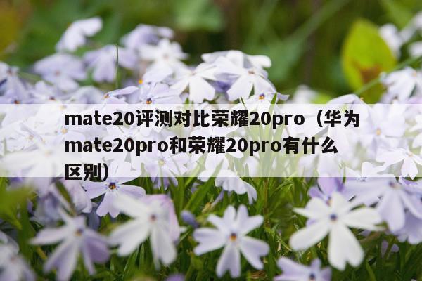 mate20评测对比荣耀20pro（华为mate20pro和荣耀20pro有什么区别）