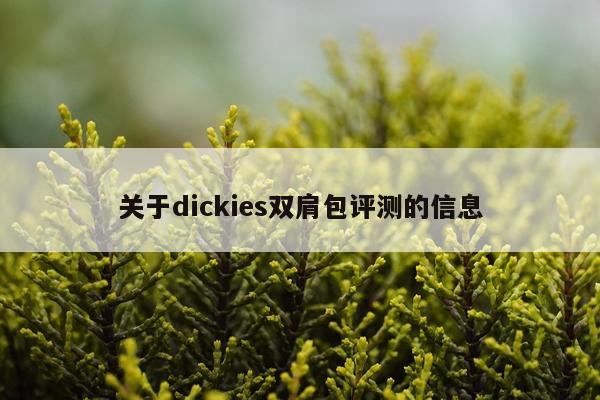 关于dickies双肩包评测的信息