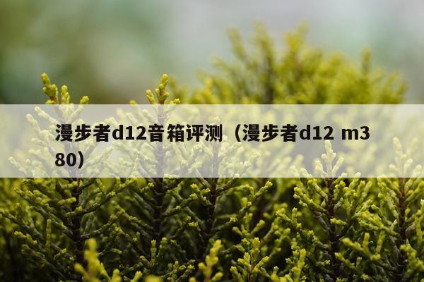 漫步者d12音箱评测（漫步者d12 m380）