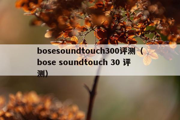 bosesoundtouch300评测（bose soundtouch 30 评测）