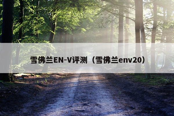 雪佛兰EN-V评测（雪佛兰env20）