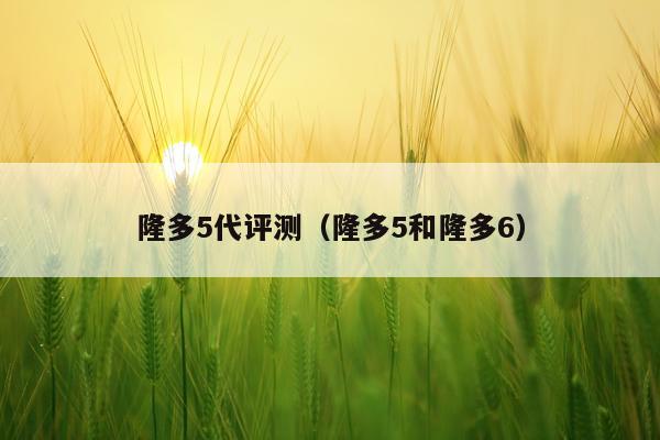 隆多5代评测（隆多5和隆多6）