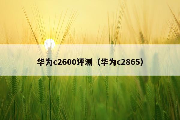 华为c2600评测（华为c2865）