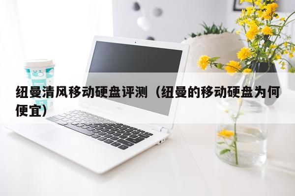 纽曼清风移动硬盘评测（纽曼的移动硬盘为何便宜）