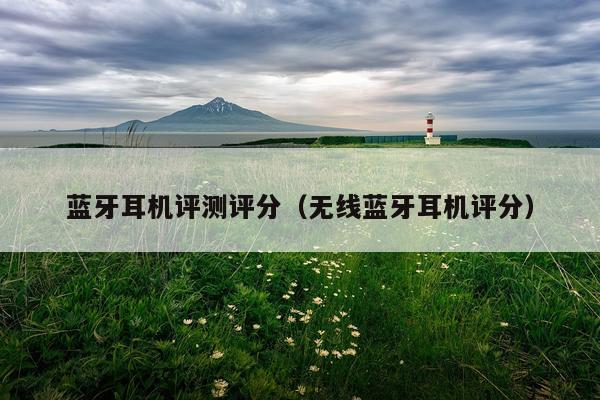 蓝牙耳机评测评分（无线蓝牙耳机评分）
