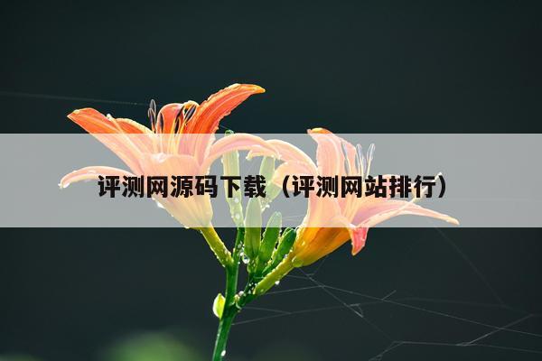 评测网源码下载（评测网站排行）