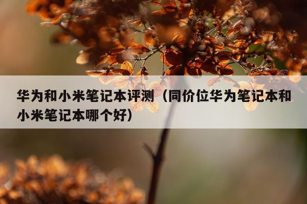 华为和小米笔记本评测（同价位华为笔记本和小米笔记本哪个好）