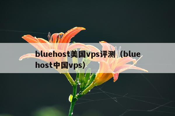 bluehost美国vps评测（bluehost中国vps）