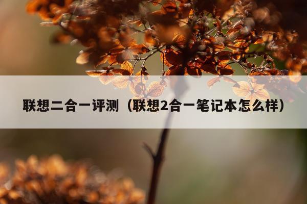 联想二合一评测（联想2合一笔记本怎么样）