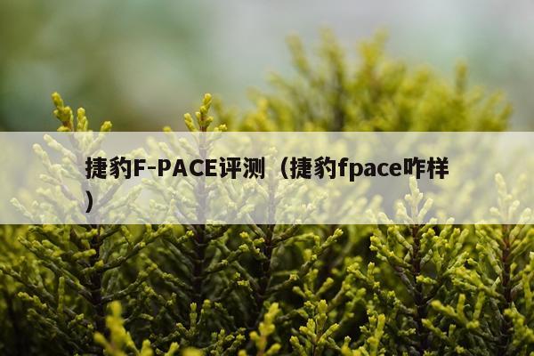 捷豹F-PACE评测（捷豹fpace咋样）