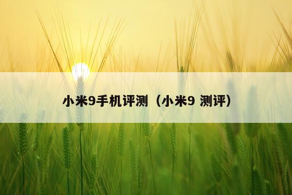小米9手机评测（小米9 测评）