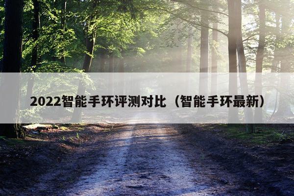 2022智能手环评测对比（智能手环最新）