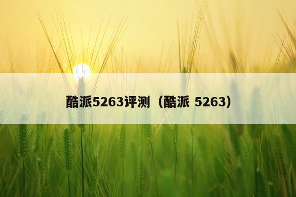 酷派5263评测（酷派 5263）