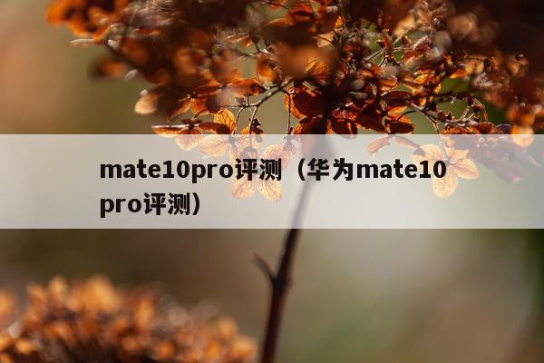 mate10pro评测（华为mate10pro评测）