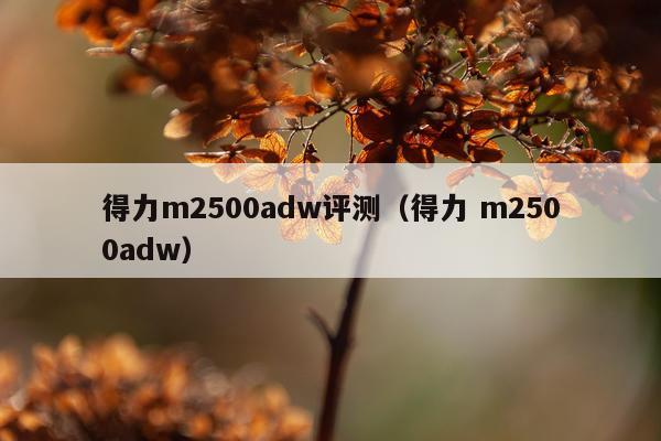 得力m2500adw评测（得力 m2500adw）