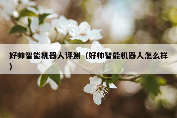 好帅智能机器人评测（好帅智能机器人怎么样）