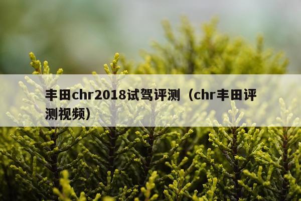 丰田chr2018试驾评测（chr丰田评测视频）