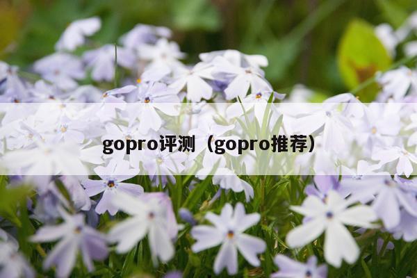 gopro评测（gopro推荐）