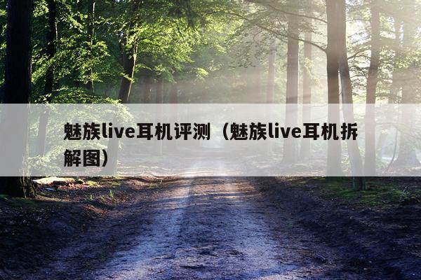 魅族live耳机评测（魅族live耳机拆解图）