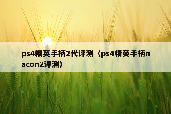 ps4精英手柄2代评测（ps4精英手柄nacon2评测）