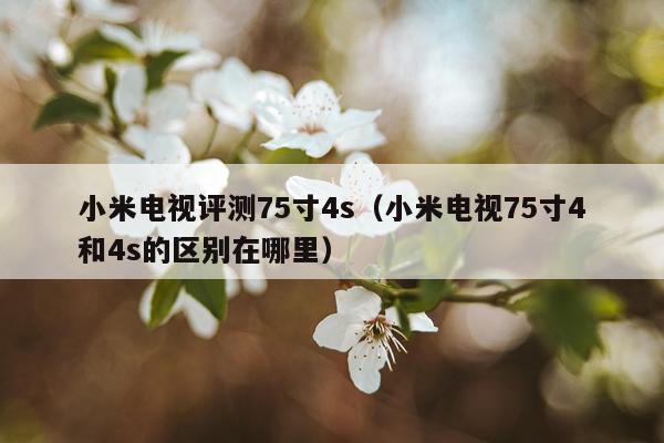 小米电视评测75寸4s（小米电视75寸4和4s的区别在哪里）