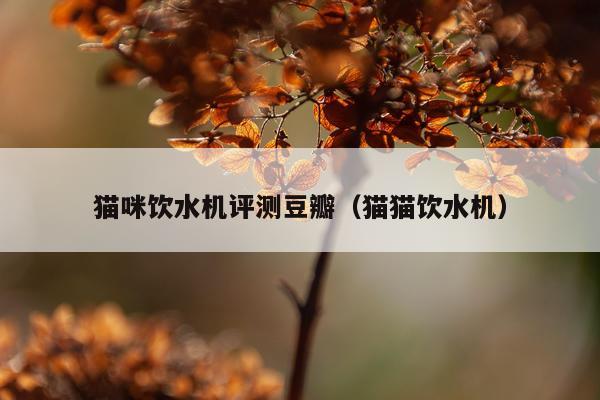 猫咪饮水机评测豆瓣（猫猫饮水机）
