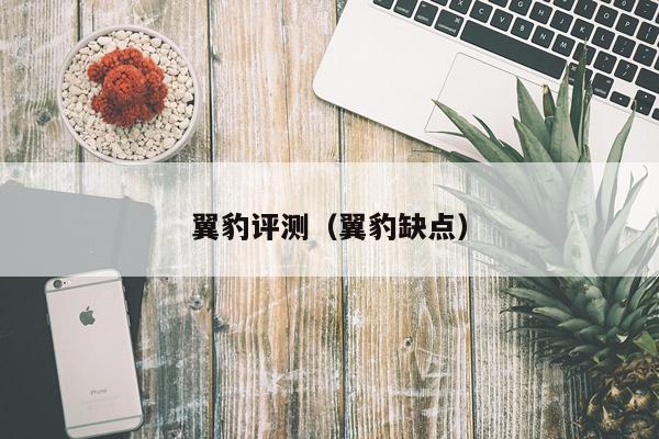 翼豹评测（翼豹缺点）