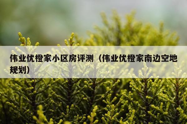 伟业优橙家小区房评测（伟业优橙家南边空地规划）