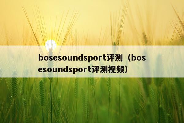 bosesoundsport评测（bosesoundsport评测视频）