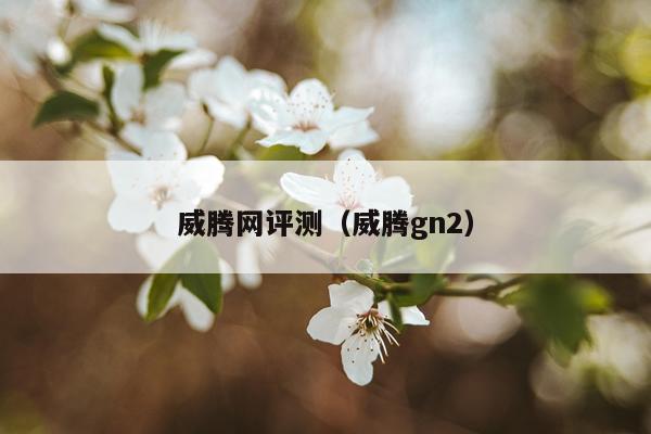 威腾网评测（威腾gn2）