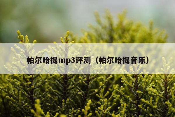 帕尔哈提mp3评测（帕尔哈提音乐）