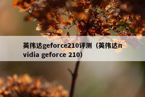英伟达geforce210评测（英伟达nvidia geforce 210）