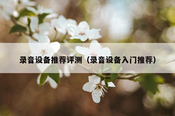 录音设备推荐评测（录音设备入门推荐）