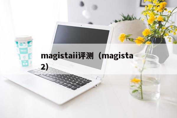 magistaii评测（magista 2）