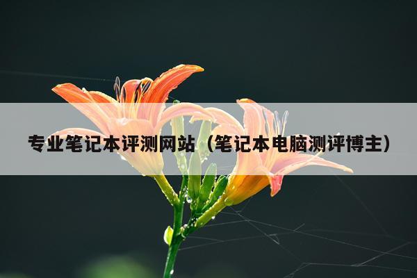 专业笔记本评测网站（笔记本电脑测评博主）
