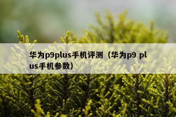 华为p9plus手机评测（华为p9 plus手机参数）