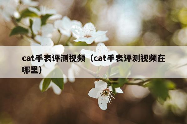 cat手表评测视频（cat手表评测视频在哪里）