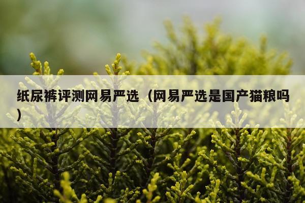 纸尿裤评测网易严选（网易严选是国产猫粮吗）