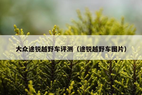 大众途锐越野车评测（途锐越野车图片）