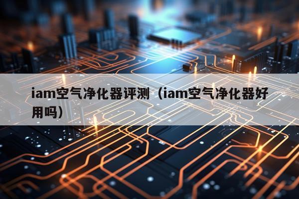 iam空气净化器评测（iam空气净化器好用吗）