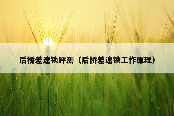 后桥差速锁评测（后桥差速锁工作原理）