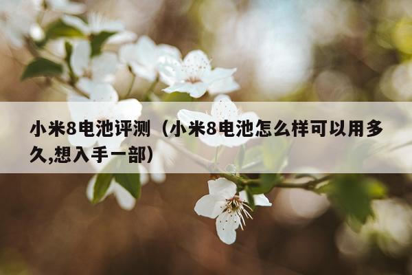 小米8电池评测（小米8电池怎么样可以用多久,想入手一部）